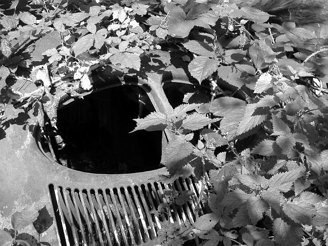 Autofriedhof - 203.JPG - Historischer Autofriedhof,    Gürbetal (CH)